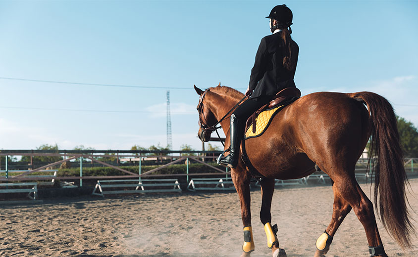 Horse Riding